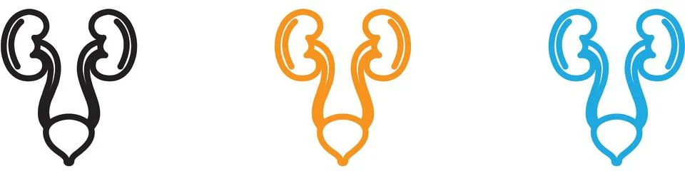 Urinary system vector logo set collection for web app ui Stock Illustration