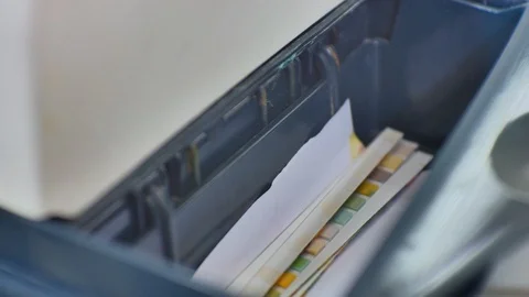 Urine analysis in laboratory colour level chemical in urine. Video stock 108249473