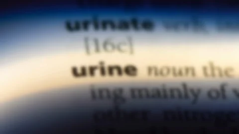 Urine word in a dictionary. Stock Footage 99562558