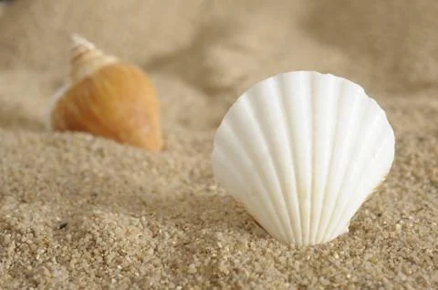 Urlaub Ferien Stock Photos