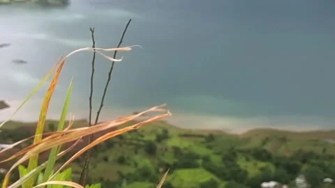 Urmodi Dam backwaters Stock Footage 318031324