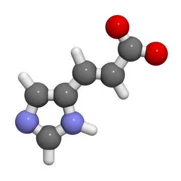 Urocanic acid molecule. Breakdown product of histidine. 3D rendering. Stockillustratie
