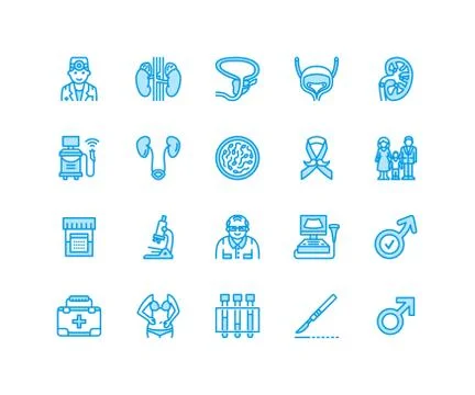 Urology vector flat line icons. Urologist, bladder, kidneys, adrenal glands Stock Illustration