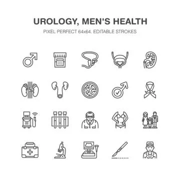 Urology vector flat line icons. Urologist, bladder, kidneys, adrenal glands Stock Illustration