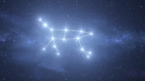 Ursa Major Constellation Star Map Animation Stock Footage 333275641