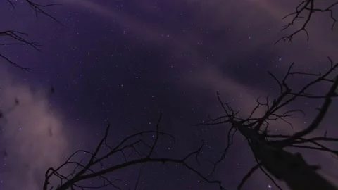 Ursa major 库存影片 141332550