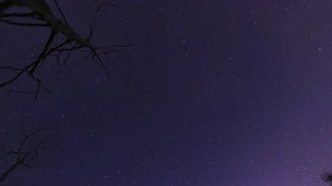 Ursa major 库存影片 141333376