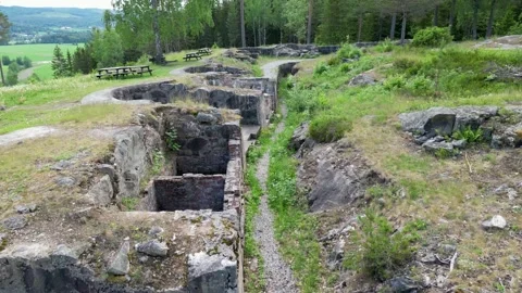Urskog fort Video stock 295510853