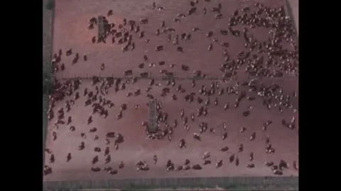 URUGUAY - 1965 - An oven bird hops on top of a utility pole and aerial view of Stock Footage 340667997