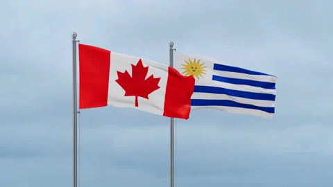 Uruguay and Canada flag Stock Footage 252034768