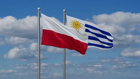 Uruguay and Poland two flags Stock Footage 279971035