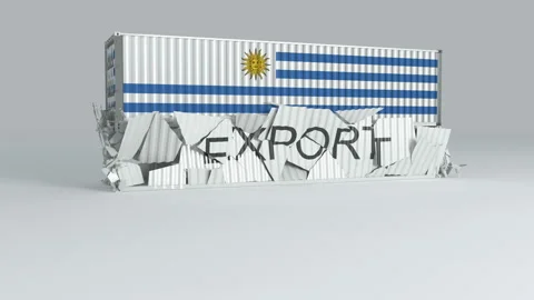Uruguay container with the flag falls on top of a container labeled EXPORT Stock Footage 124634898