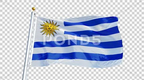 Uruguay flag, close up, isolated with alpha channel Stock Photos