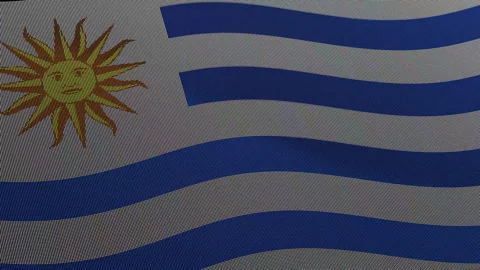 Uruguay Flag Digital Particle Waving Seamless Loop Animation Stock Footage 339303608