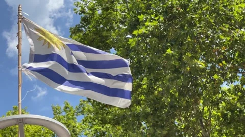 Uruguay Flag Waving Amidst Greenery in Montevideo Stock Footage 346908607