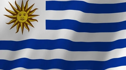 Uruguay flag waving animation 動画素材 222846058