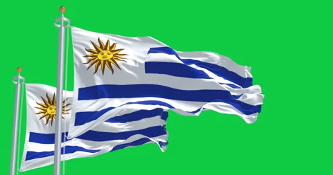 Uruguay flag waving with Sun of May symbol isolated on green background 스톡 동영상 310028393