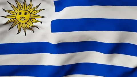 The Uruguay flag waving in the wind Stock Footage 88158619