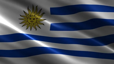 Uruguay flag waving in the wind Stock Footage 348689027