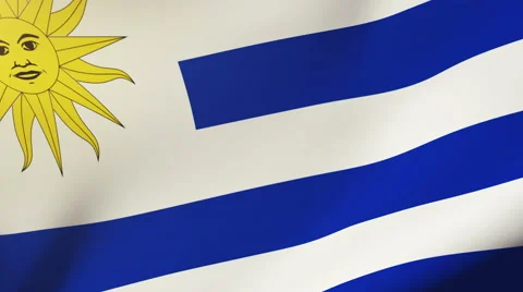Uruguay flag waving in the wind. Looping sun rises style.  Animation loop Stock Footage 48636186