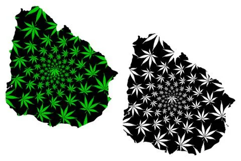 Uruguay - map is designed cannabis leaf Stock Illustration