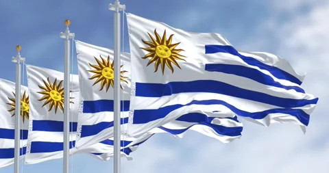 Uruguay national flags fluttering in the wind on a sunny day Stock Footage 295931122