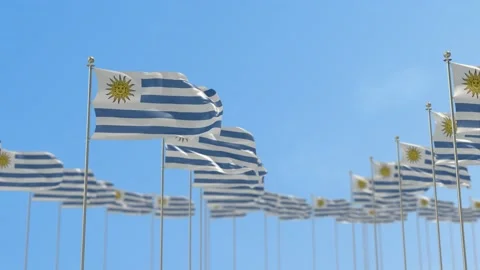 Uruguay Row Of Flags Animation Stock-Footage 148803523