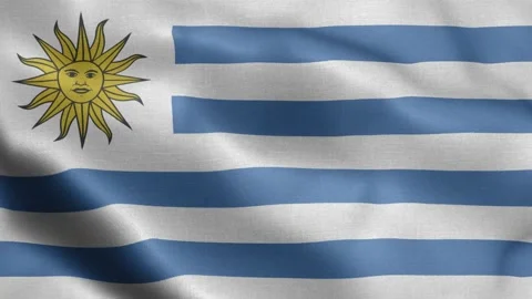 Uruguay waving flag texture realistic Stock Footage 143181914