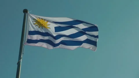 A Uruguayan flag is flying 動画素材 343387626