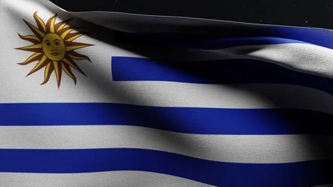 Uruguayan Flag Waving at Night Stock Footage 276875375