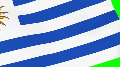 Uruguayan waving flag transition. Flag of Uruguay 4k footage over green screen Stock Footage 168093352