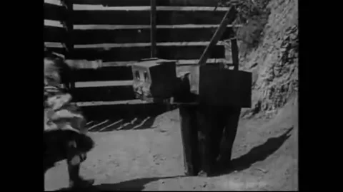 US - 1914 - in this silent adventure, Patchwork Girl tries to make the Woozy 스톡 동영상 288078408