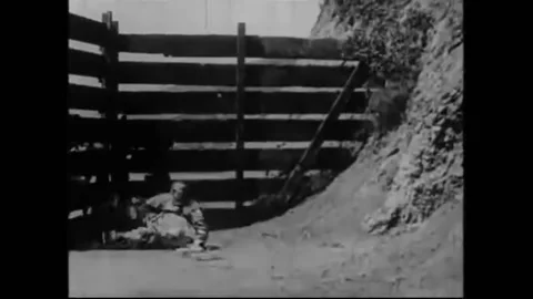 US - 1914 - in this silent adventure, Patchwork Girl lands in the front yard of Stock Footage 288082508
