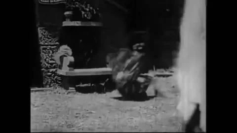 US - 1914 - in this silent fantasy, Patchwork Girl happily bounces into a Stock Footage 288082847