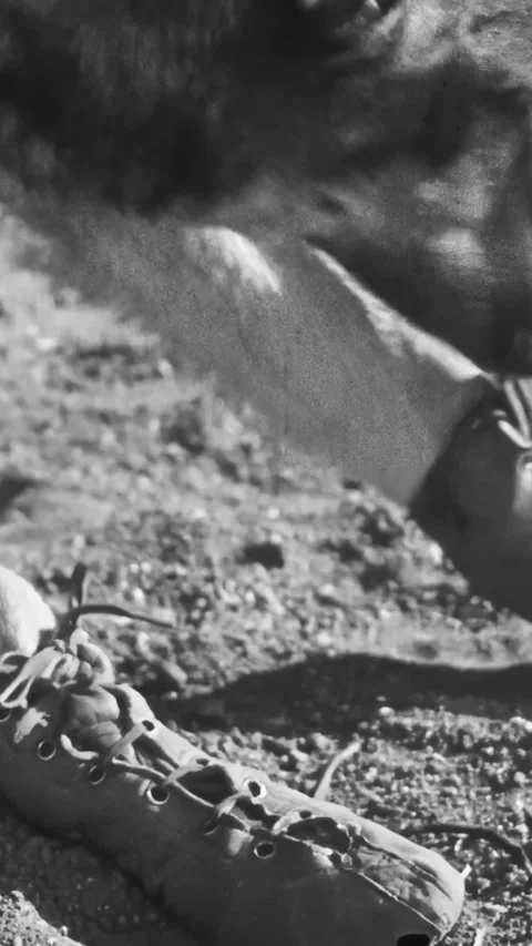 US - 1925 - in this silent western, a wolf-dog pulls off his dog boots. When he Stock Footage 340295554
