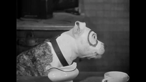 US - 1929 - in this comedy, children hide in a secret room while their friend Stock Footage 337972444