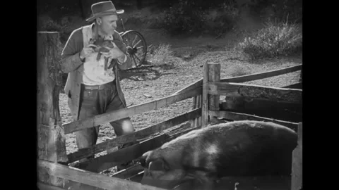US - 1935 - in this drama, a farmer lovingly takes a piglet in his arms and Stock Footage 341345958