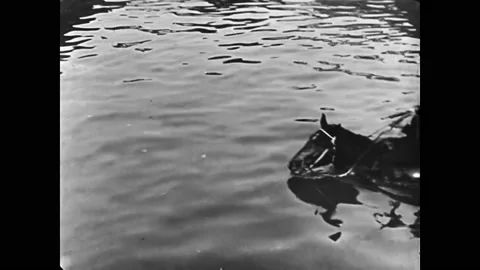 US - 1944 - in this silent comedy, a man crosses a river on his horse, using Stock Footage 254194300