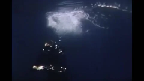 US - 1954 - in this documentary, a diver harpoons a shark, but the shark is too Stock Footage 259380203