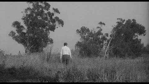 US - 1968 - in this drama, a man changes his mind about his revenge plan, throws Stock Footage 337951853
