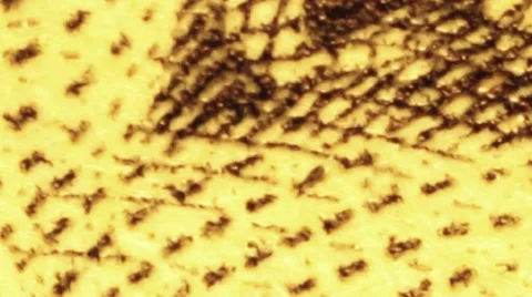 US $2 bill jefferson face artwork macro video Video stock 37089988
