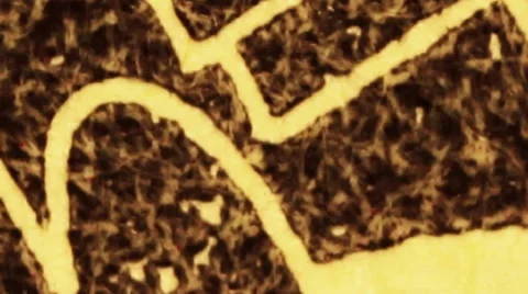 US $20 fed reserve system seal currency artwork macro video Stock Footage 37088110