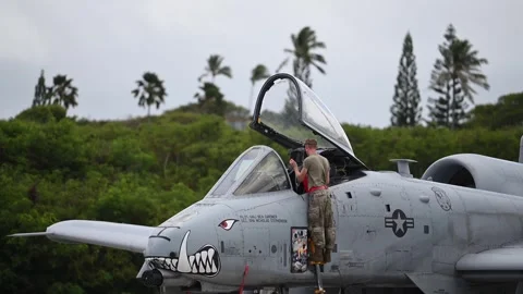 U.S. Air Force ground crew placing Remove Before Flight tag on A-10 Thunderbolt Stock Footage 280658471
