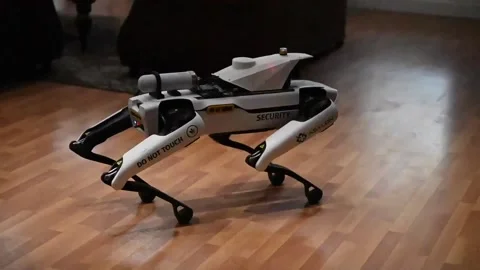 U.S. Air Force Robot Dog performing manoeuvres during demonstration Stock Footage 234407785