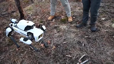 U.S. Air Force Robot Dog performing digging manoeuvres  Vídeos de archivo 234407793
