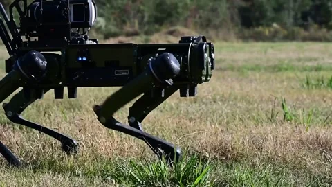 U.S. Air Force Robot Dog performing maneuvers Stock Footage 255780892