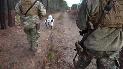 U.S. Air Force semi-autonomous Robot Dog walking on woodland track with airmen Stock Footage 234407786