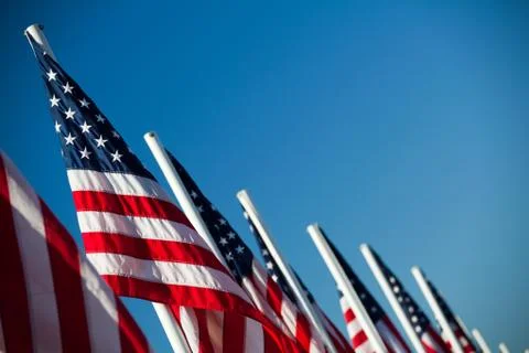 US American flags in a row Foto stock