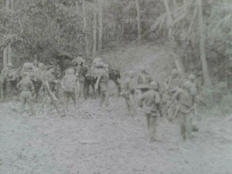 U.S. Army Battalions in 1944, encounter Japanese opposition deep in the Burmeseƒ Stock Footage 75298768