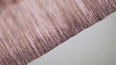 US Army knife under microscope. 100x times magnification.Top notch steel texture Stock Footage 268491323